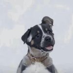 艾浩的头像-九龙城半RP角色扮演社区