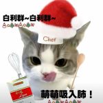 马嘉祺的头像-九龙城半RP角色扮演社区