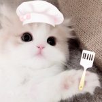 小甜点大王的头像-九龙城半RP角色扮演社区